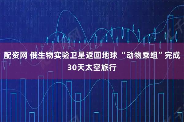 配资网 俄生物实验卫星返回地球 “动物乘组”完成30天太空旅行