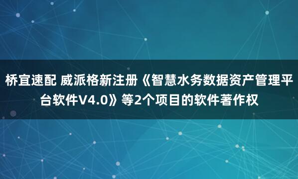 桥宜速配 威派格新注册《智慧水务数据资产管理平台软件V4.0》等2个项目的软件著作权
