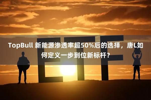 TopBull 新能源渗透率超50%后的选择，唐L如何定义一步到位新标杆？