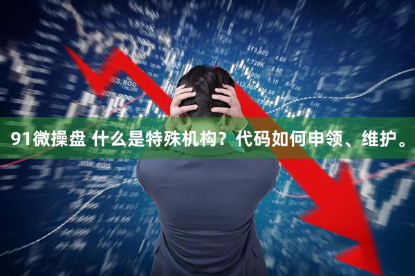 91微操盘 什么是特殊机构？代码如何申领、维护。